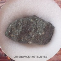 El Menia - Condrita Ordinaria L5 - Individuo Completo - 5.6 g - Argelia