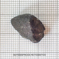 El Menia - L5 Ordinary Chondrite - Complete Individual - 3.92 g - Algeria