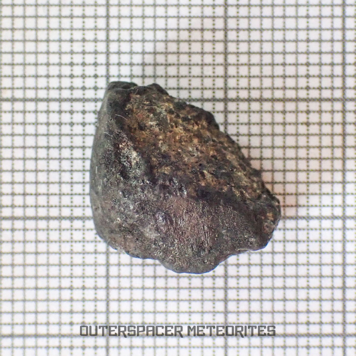 El Menia - L5 Ordinary Chondrite - Complete Individual - 3.92 g - Algeria