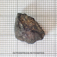 El Menia - L5 Ordinary Chondrite - Complete Individual - 3.92 g - Algeria