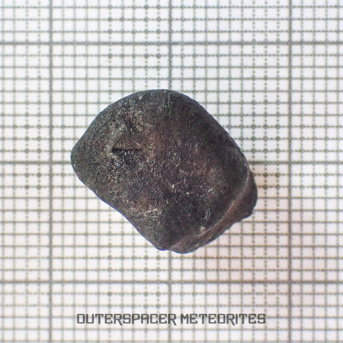El Menia - L5 Ordinary Chondrite - Complete Individual - 3.19 g - Algeria
