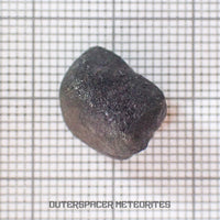 El Menia - L5 Ordinary Chondrite - Complete Individual - 3.19 g - Algeria