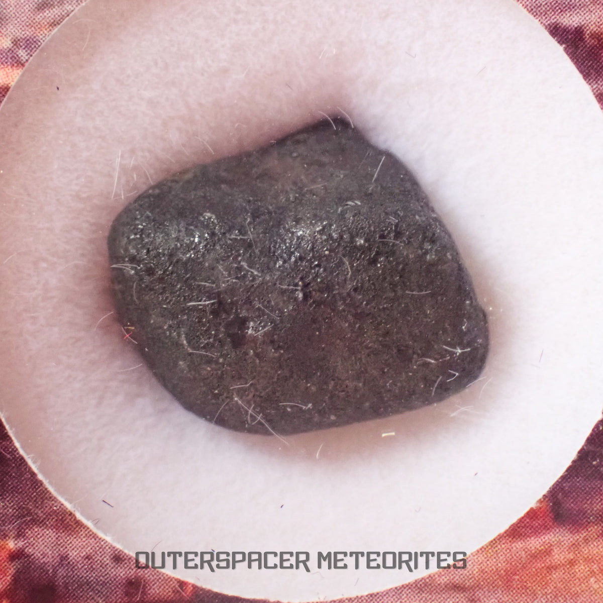 El Menia - L5 Ordinary Chondrite - Complete Individual - 3.19 g - Algeria