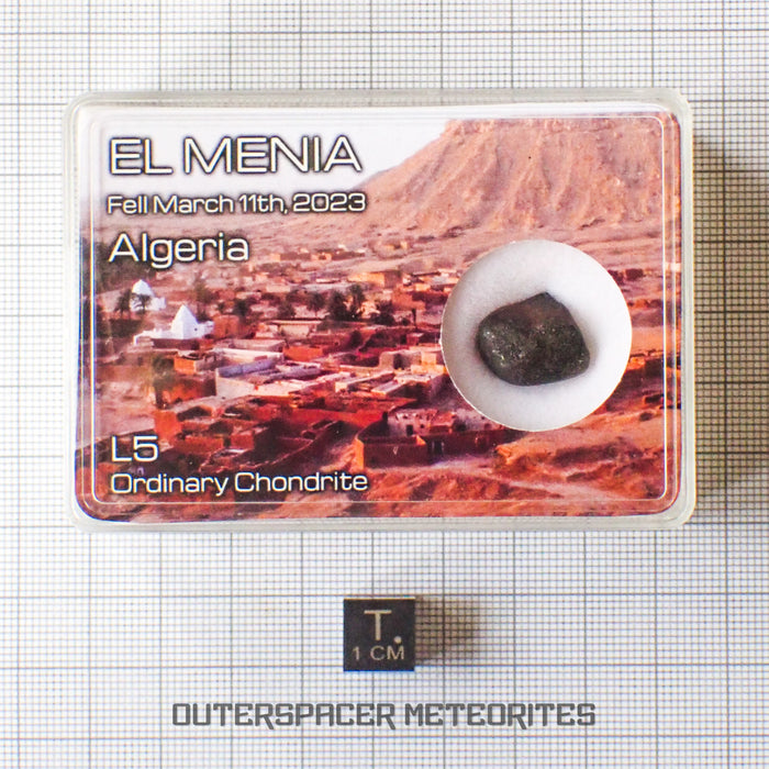 El Menia - L5 Ordinary Chondrite - Complete Individual - 3.19 g - Algeria