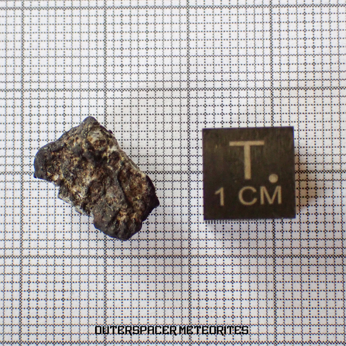 El Menia - L5 Ordinary Chondrite - Complete Individual - 1.8 g - Algeria