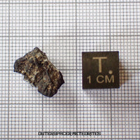 El Menia - L5 Ordinary Chondrite - Complete Individual - 1.8 g - Algeria