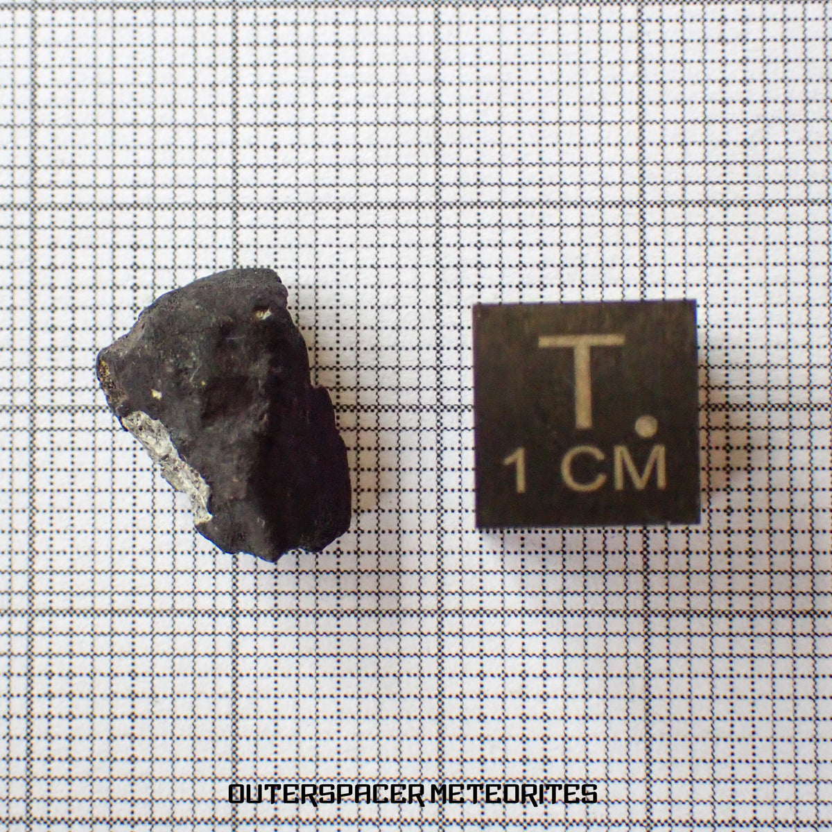El Menia - L5 Ordinary Chondrite - Complete Individual - 1.8 g - Algeria