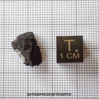 El Menia - L5 Ordinary Chondrite - Complete Individual - 1.8 g - Algeria