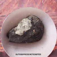 El Menia - L5 Ordinary Chondrite - Complete Individual - 1.8 g - Algeria
