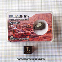 El Menia - L5 Ordinary Chondrite - Complete Individual - 1.8 g - Algeria