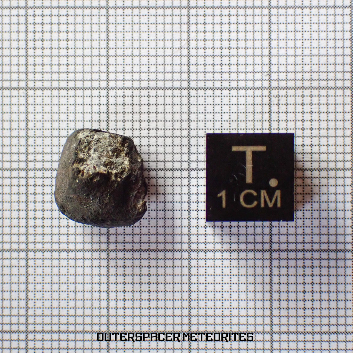 El Menia - L5 Ordinary Chondrite - Complete Individual - 1.72 g - Algeria