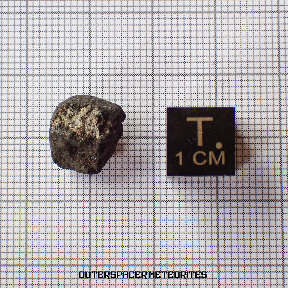 El Menia - L5 Ordinary Chondrite - Complete Individual - 1.72 g - Algeria