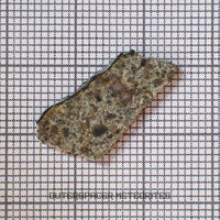 El Menia - Condrita Ordinaria L5 - Individuo Completo - 0.83 g - Argelia