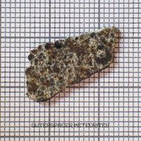 El Menia - Condrita Ordinaria L5 - Individuo Completo - 0.83 g - Argelia