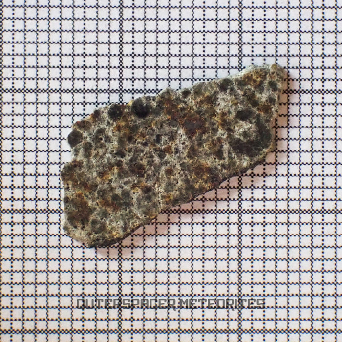 El Menia - L5 Ordinary Chondrite - Complete Individual - 0.83 g - Algeria