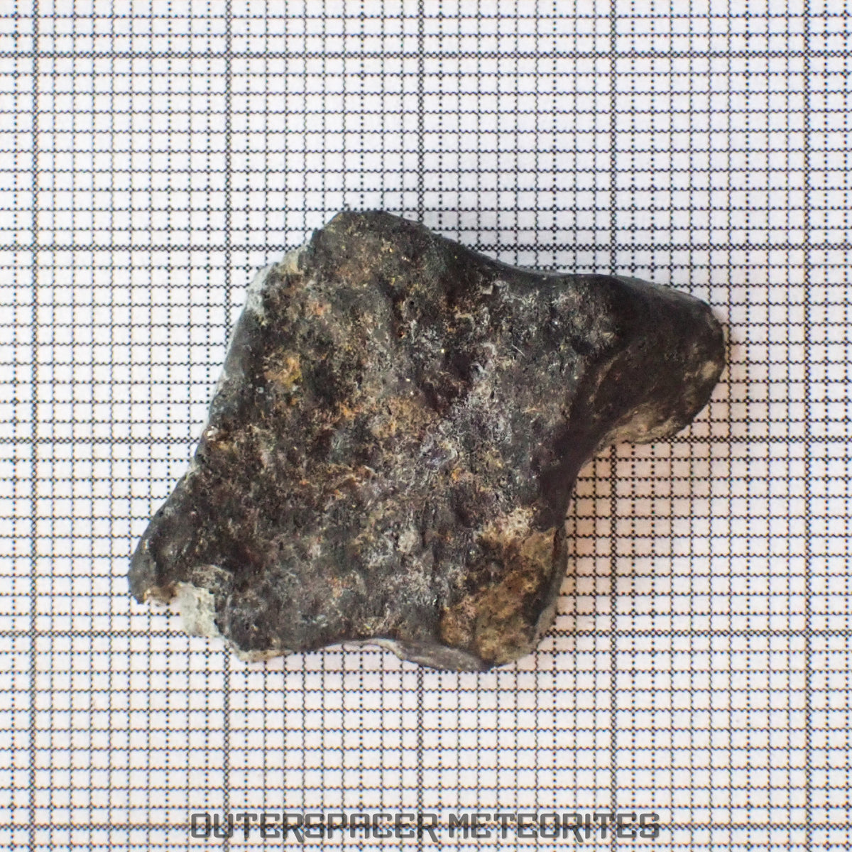El Menia - L5 Ordinary Chondrite - End Cut - 5.92g - Algeria
