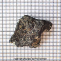 El Menia - L5 Ordinary Chondrite - End Cut - 5.92g - Algeria