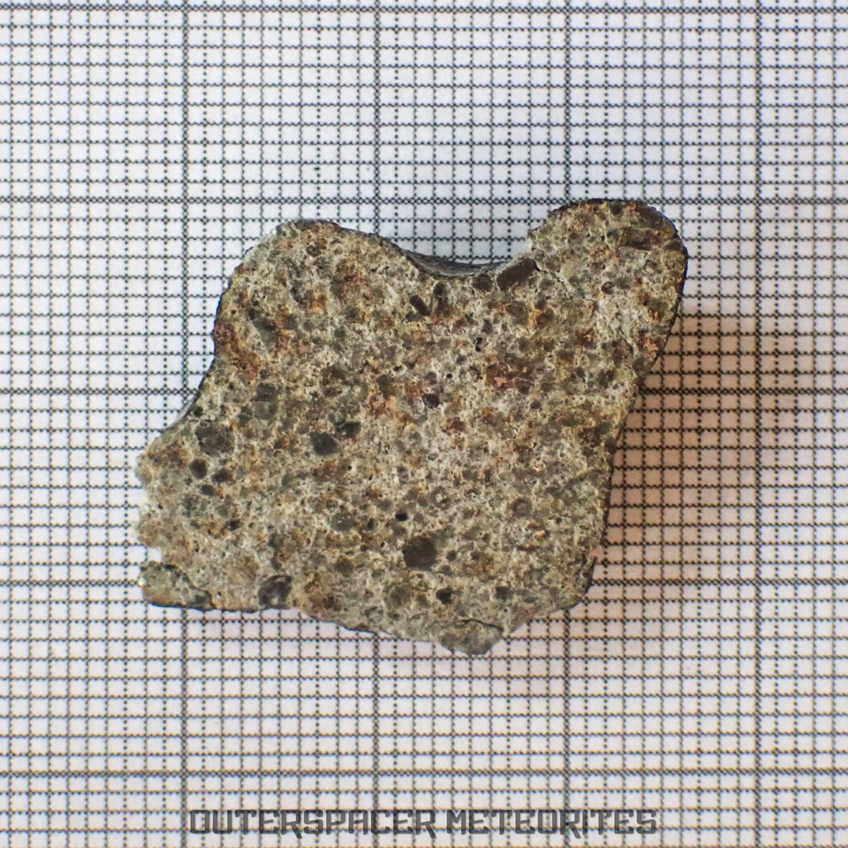 El Menia - L5 Ordinary Chondrite - End Cut - 5.92g - Algeria