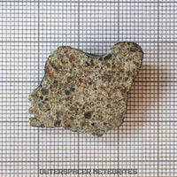 El Menia - L5 Ordinary Chondrite - End Cut - 5.92g - Algeria