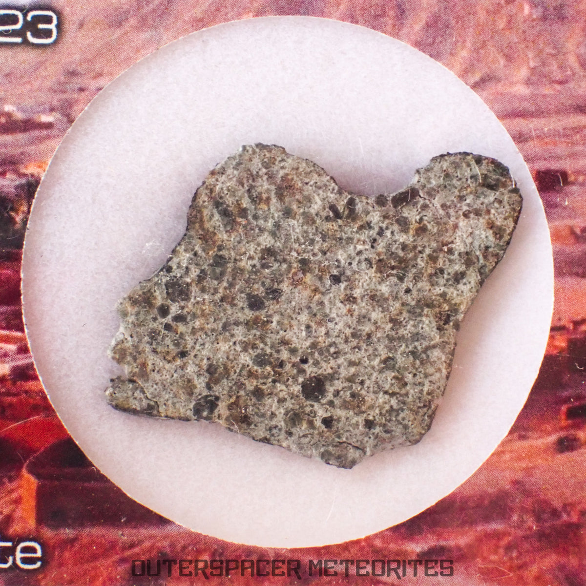 El Menia - L5 Ordinary Chondrite - End Cut - 5.92g - Algeria