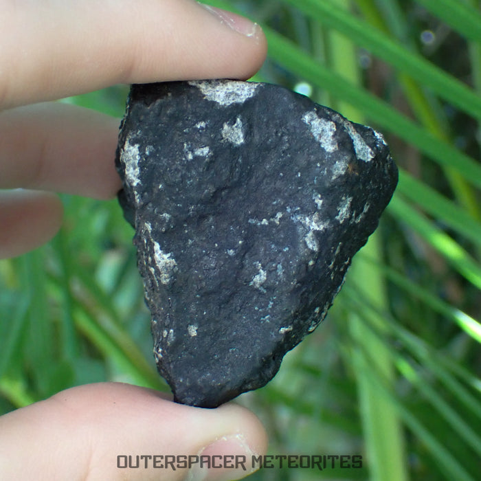 El Menia - L5 Ordinary Chondrite - Complete Individual - 152g - Algeria