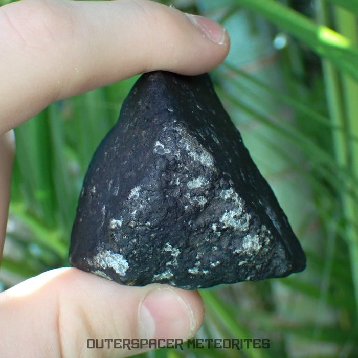 El Menia - L5 Ordinary Chondrite - Complete Individual - 152g - Algeria