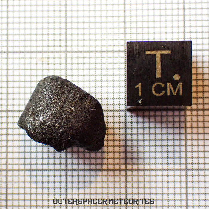 El Menia - L5 Ordinary Chondrite - Complete Individual - 2.85 g - Algeria