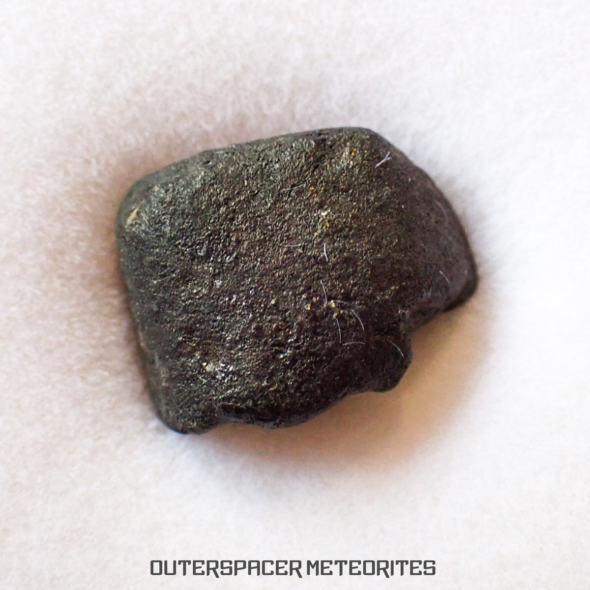 El Menia - L5 Ordinary Chondrite - Complete Individual - 2.85 g - Algeria
