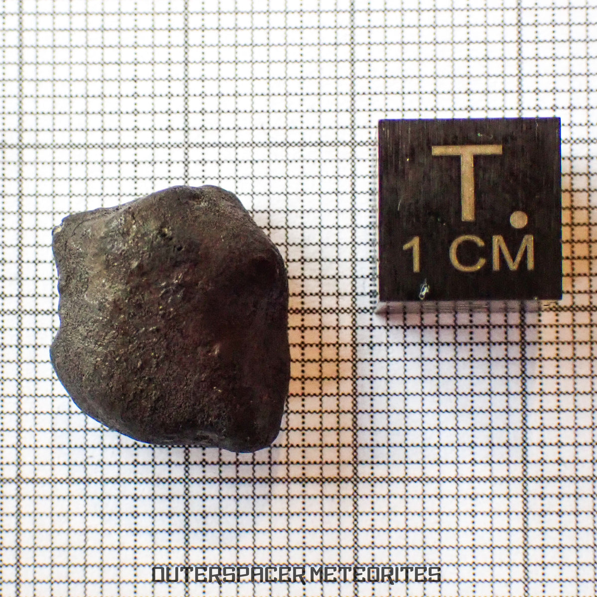 El Menia - L5 Ordinary Chondrite - Complete Individual - 3.98 g - Algeria