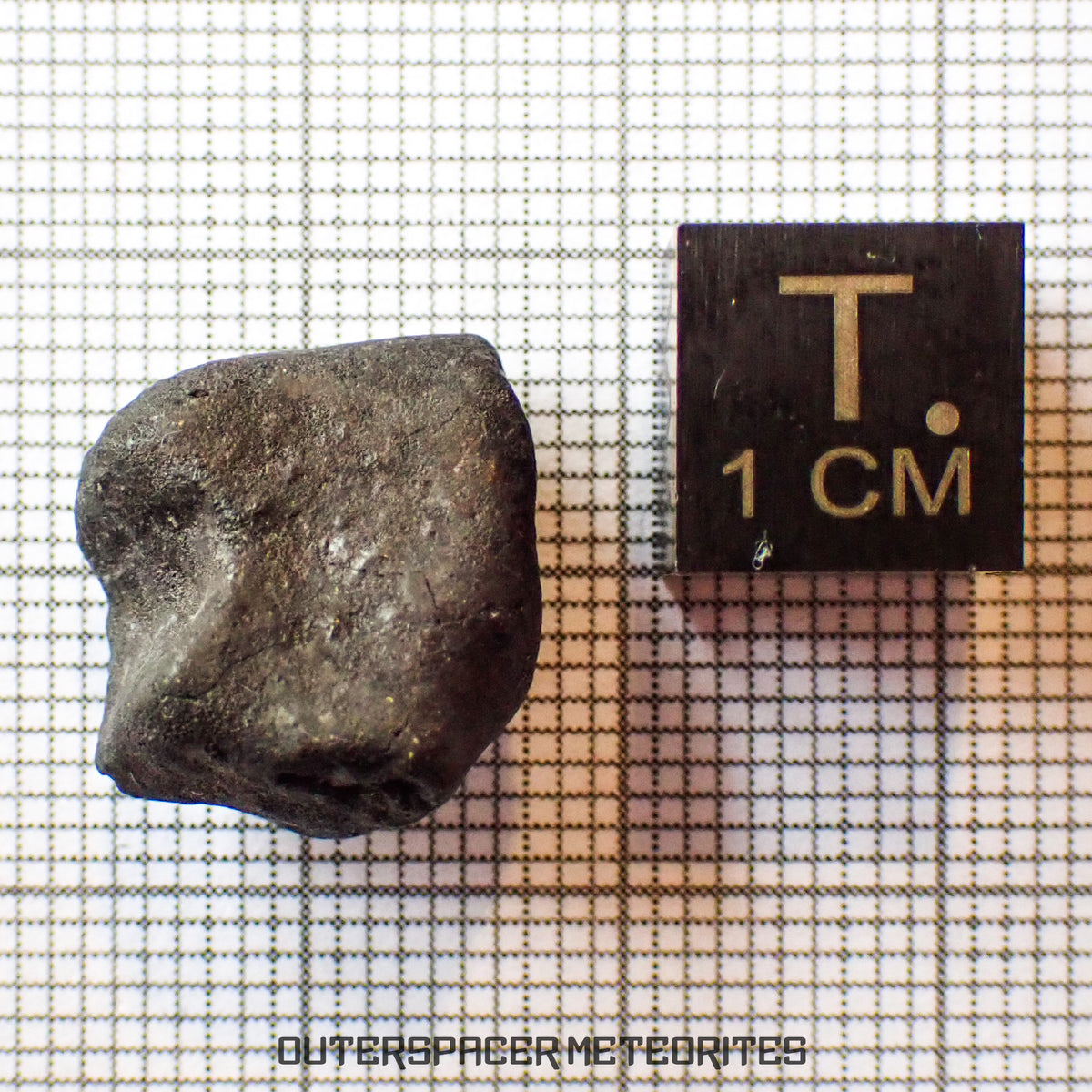 El Menia - L5 Ordinary Chondrite - Complete Individual - 3.98 g - Algeria