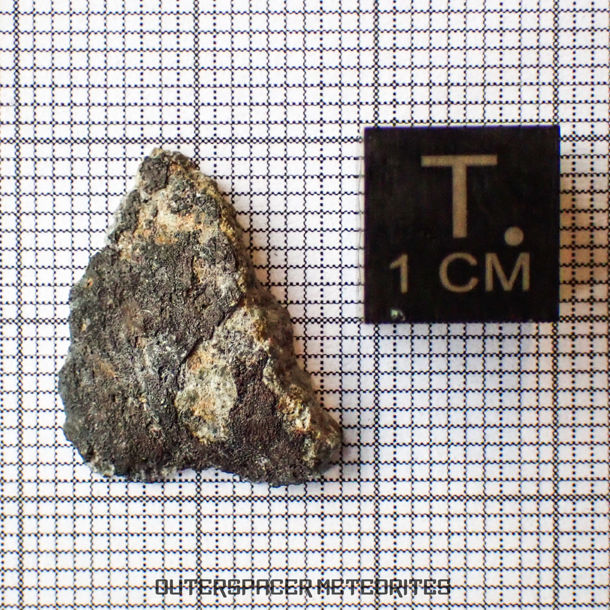 El Menia - L5 Ordinary Chondrite - Complete Individual - 1.22 g - Algeria