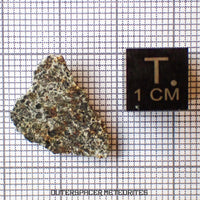 El Menia - L5 Ordinary Chondrite - Complete Individual - 1.22 g - Algeria
