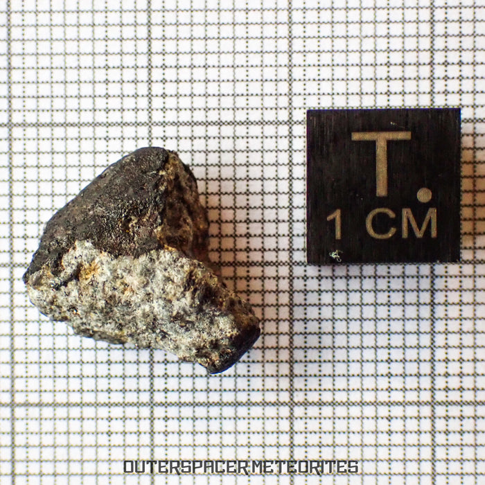 El Menia - L5 Ordinary Chondrite - Complete Individual - 2.79 g - Algeria