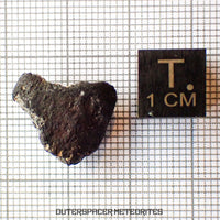El Menia - L5 Ordinary Chondrite - Complete Individual - 2.79 g - Algeria