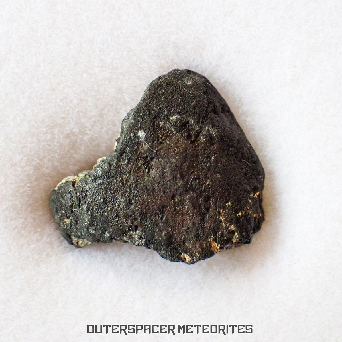 El Menia - L5 Ordinary Chondrite - Complete Individual - 2.79 g - Algeria