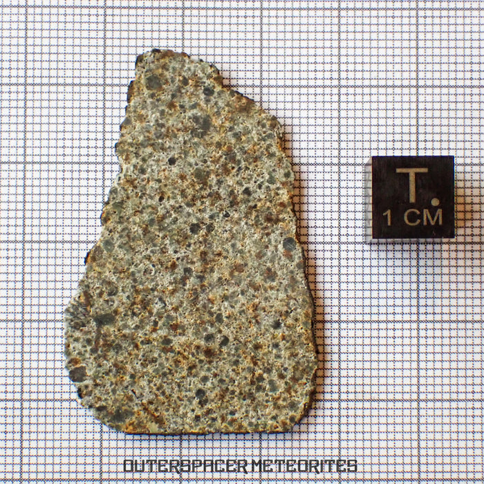 El Menia - L5 Ordinary Chondrite - Slice - 5.89 g - Algeria