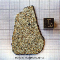 El Menia - L5 Ordinary Chondrite - Slice - 5.89 g - Algeria