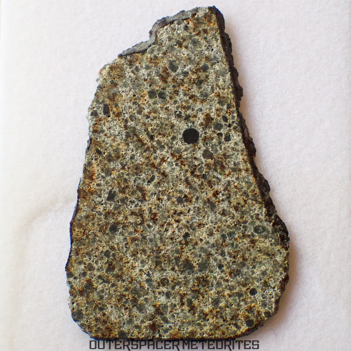 El Menia - L5 Ordinary Chondrite - Slice - 5.89 g - Algeria