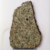 El Menia - L5 Ordinary Chondrite - Slice - 5.89 g - Algeria