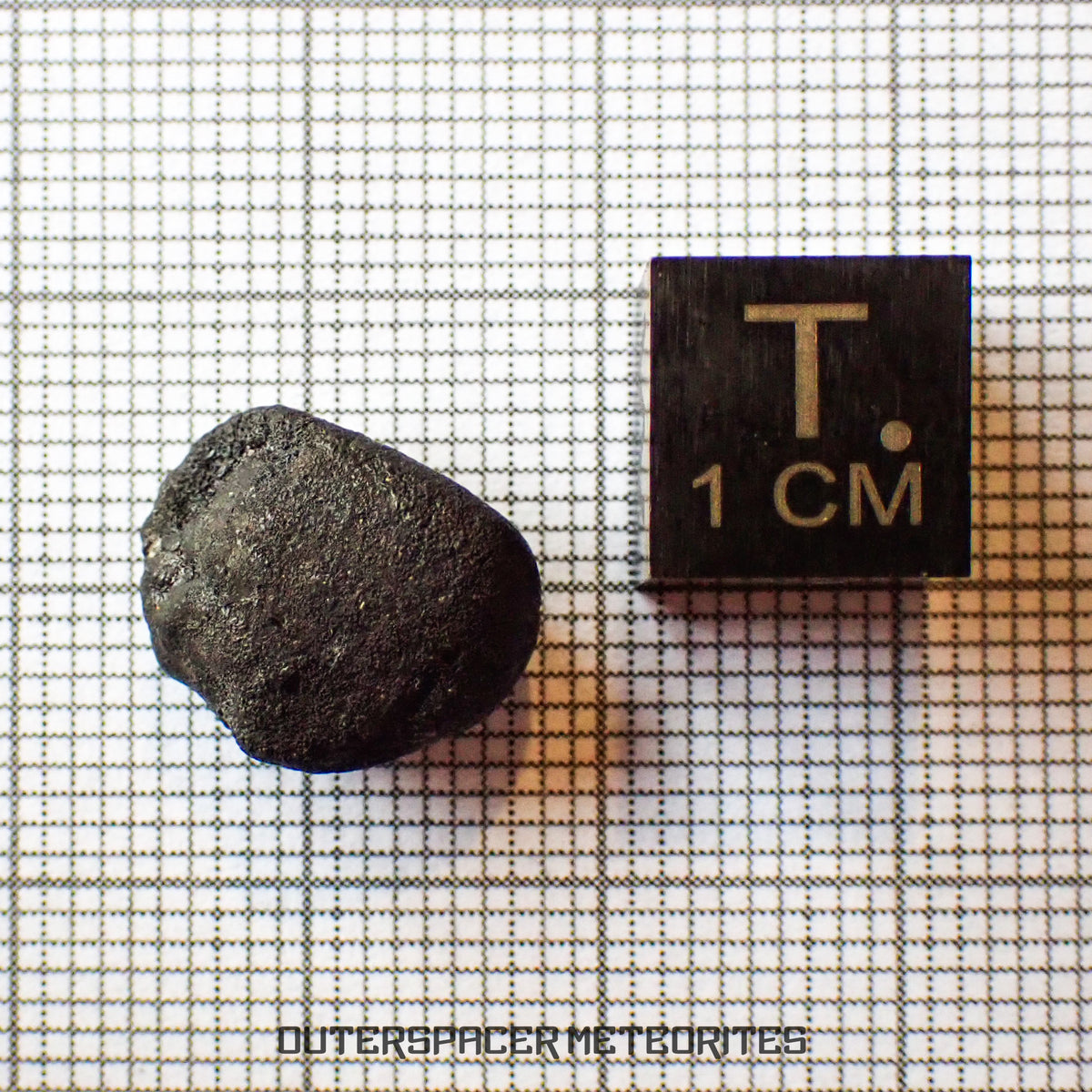 El Menia - L5 Ordinary Chondrite - Complete Individual - 2.19 g - Algeria