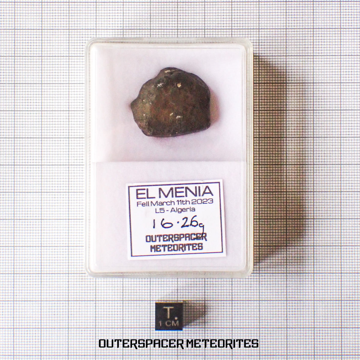 El Menia - Condrita Ordinaria L5 - Individuo Completo - 16,26 g - Argelia