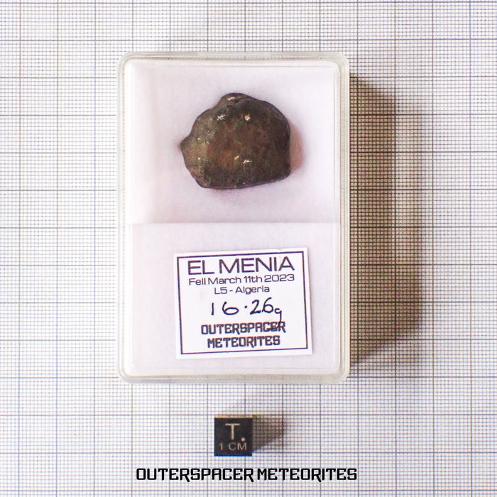 El Menia - L5 Ordinary Chondrite - Complete Individual - 16.26 g - Algeria