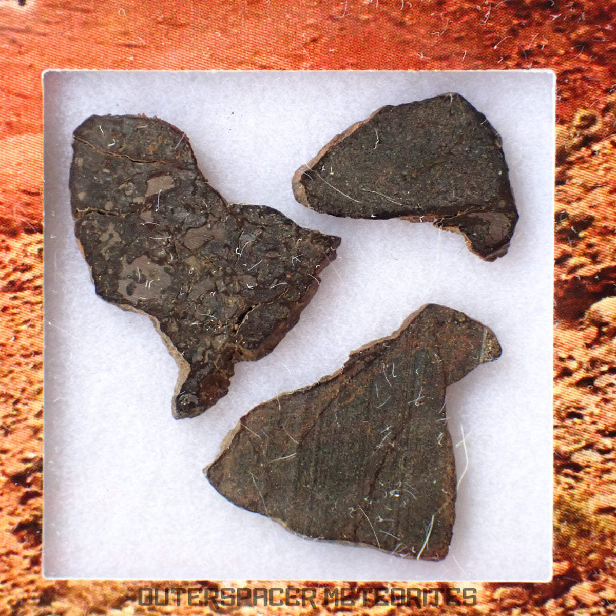Errachidia 004 - Winonaite-an - 3pc Diff. Lithologies - Slices - 0.879 g - Morocco