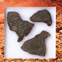 Errachidia 004 - Winonaite-an - 3pc Diff. Lithologies - Slices - 0.879 g - Morocco