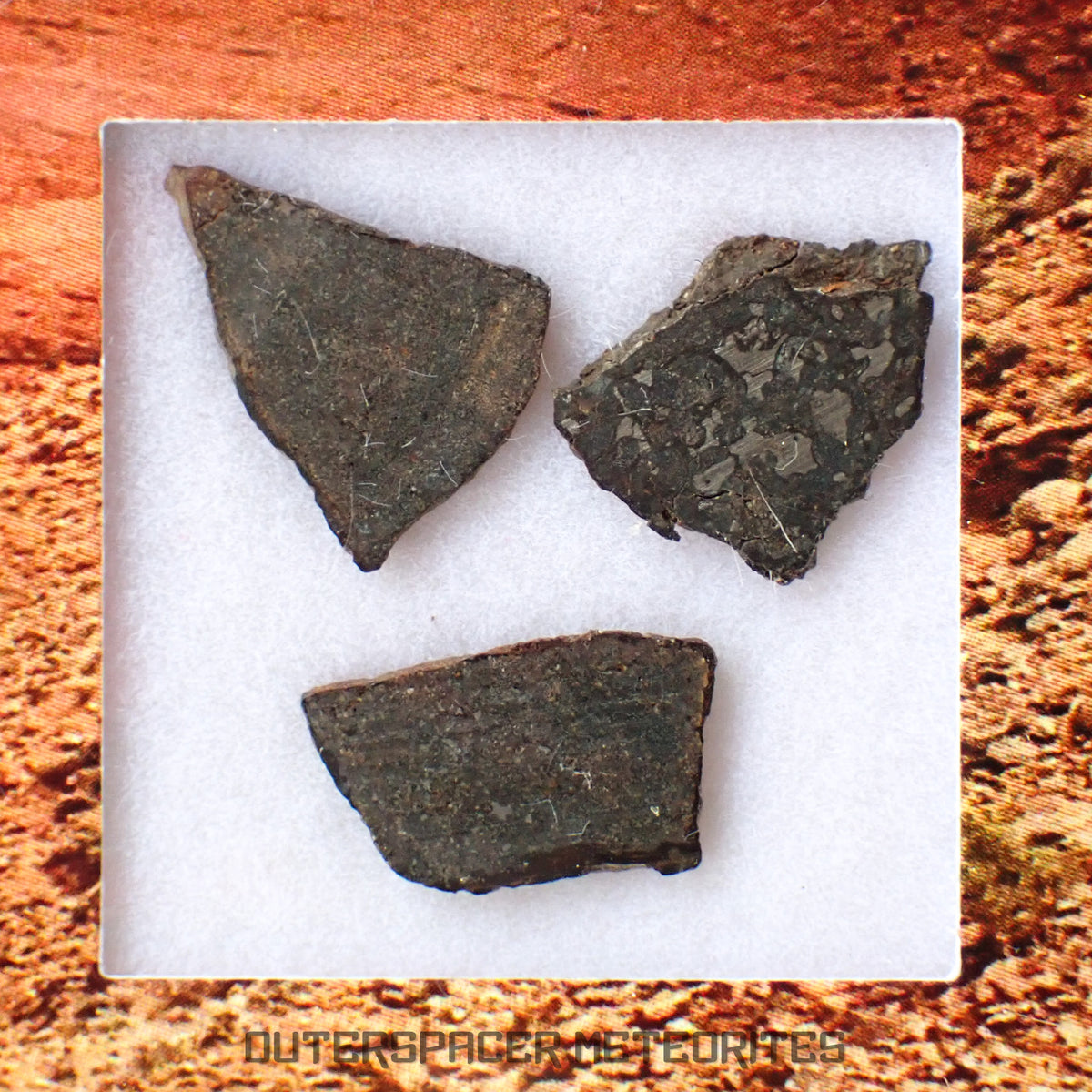 Errachidia 004 - Winonaita-an - 3 unidades de litologías diferentes - Láminas - 0.702 g - Marruecos