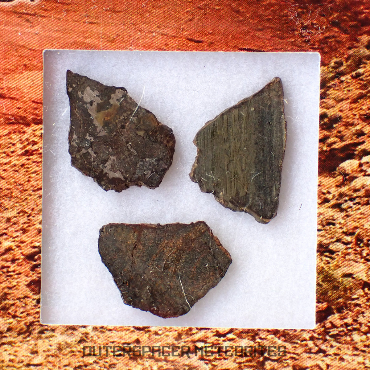 Errachidia 004 - Winonaite-an - 3 pièces. Lithologies diff. - Tranches - 0,737 g - Maroc