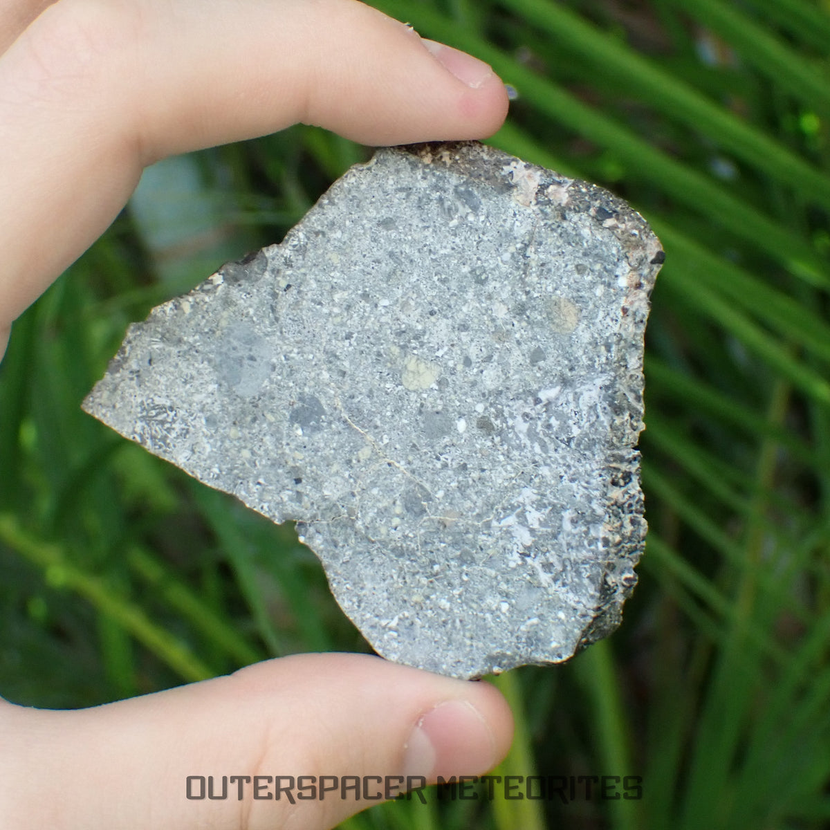NWA 15856 - Eucrite - Complete Slice - 21.27g - Mauritania