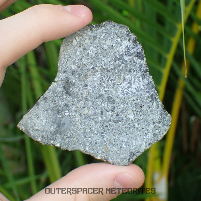 NWA 15856 - Eucrite - Complete Slice - 21.27g - Mauritania