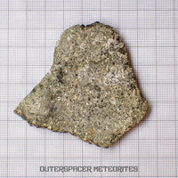 NWA 15856 - Eucrite - Complete Slice - 21.27g - Mauritania