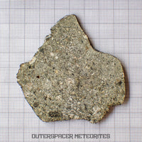 NWA 15856 - Eucrita - Rebanada Completa - 25.47g - Mauritania